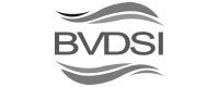 Webdesign 10 BVDSI
